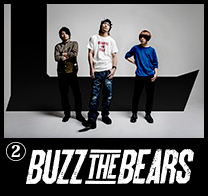 BUZZ THE BEARS